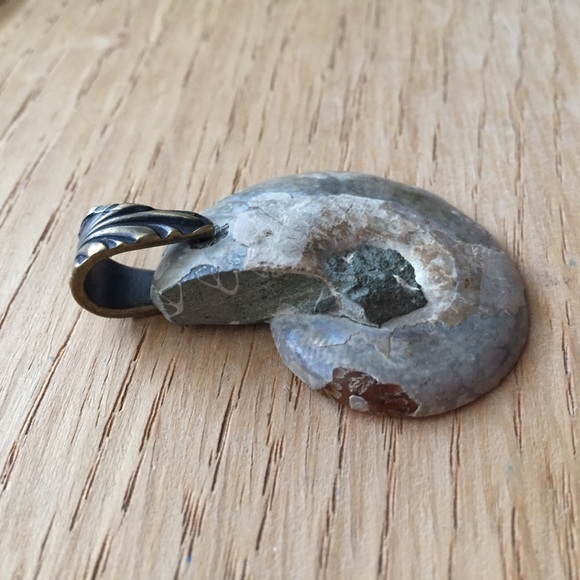 Ammonite Fossil Pendant with Brass Bail NWOT - Picture 11 of 14